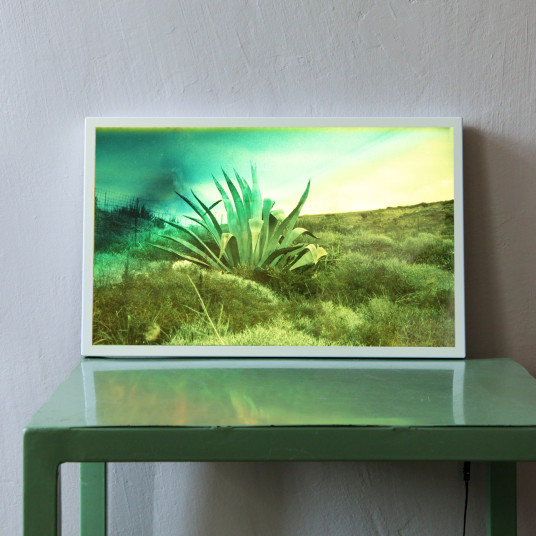 The Romantic Transformation of Loneliness into a Trade