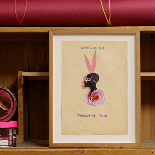 Living in the Shadow of a barbie 