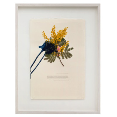 Paula Doepfner, Your cracked country lips, I still wish to kiss