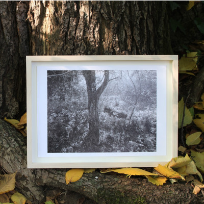 Peter Granser, Was einem Heimat war (Motiv Spuren 4)