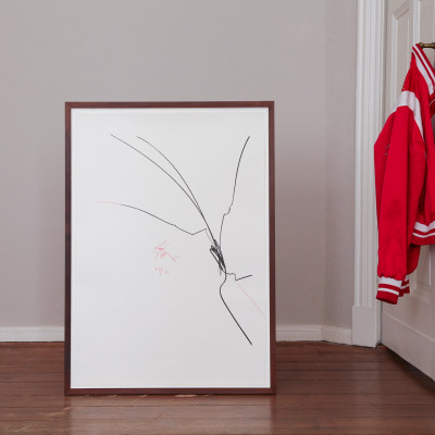 Harald Naegeli, o.T.