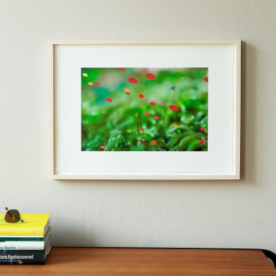 Pipilotti Rist, Du wirst sorglos sein