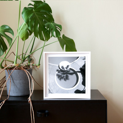 Bernd Rathjen, La Palmeraie, Roquebrune/Cap Martin, 2017