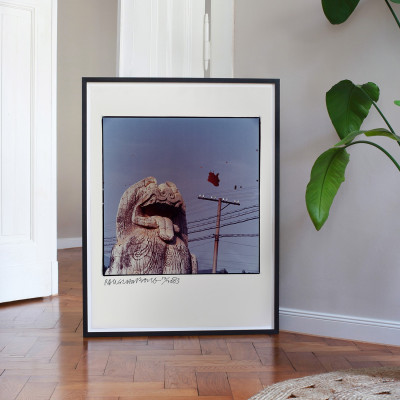 Robert Rauschenberg, Studies for Chinese Summerhall (Large): Dog and Wires